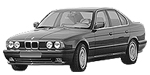 BMW E34 P1E6C Fault Code